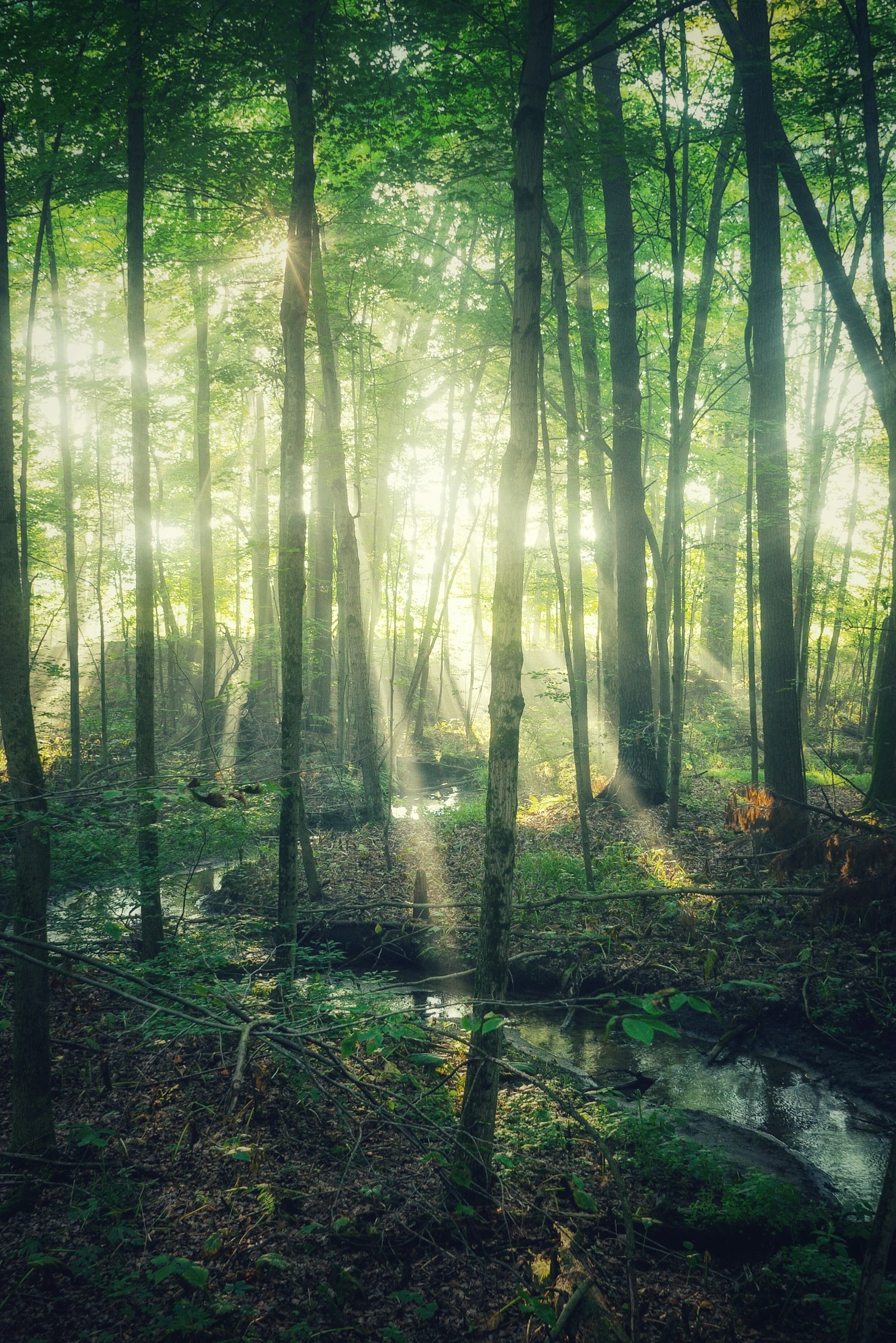Comment les symboles mystérieux enrichissent nos histoires